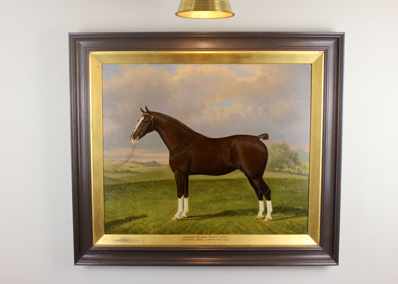 Pair Of Stallion & Mare Hackney Champion Oil Paintings By W.A. Clark photo Art