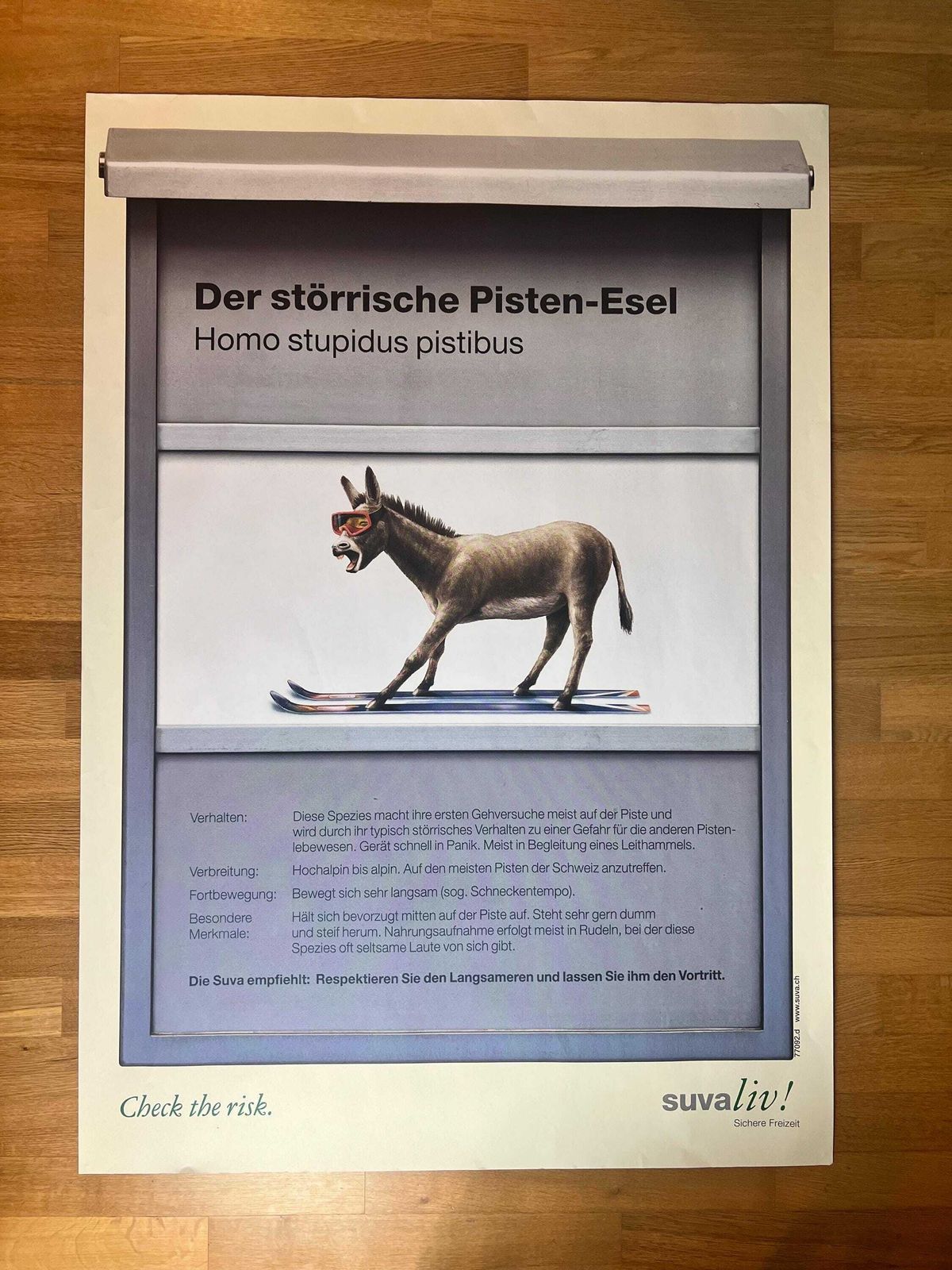 Original Swiss Vintage Poster 1999, Suvaliv Insurance Company Accident Prevention Poster, Swiss Ski Poster, 90s Art Poster, Swiss Donkey Art photo furniture