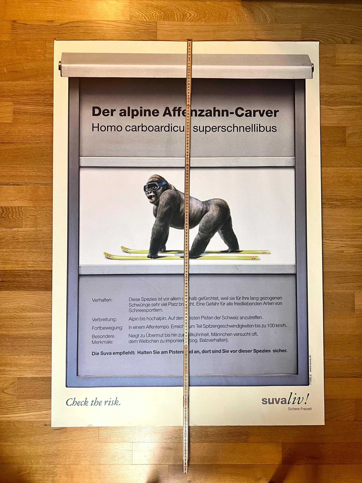 Original Swiss Vintage Poster 1999, Suvaliv Insurance Company Accident Prevention Poster, Swiss Ski Poster, 90s Art Poster, Monkey Art photo Art