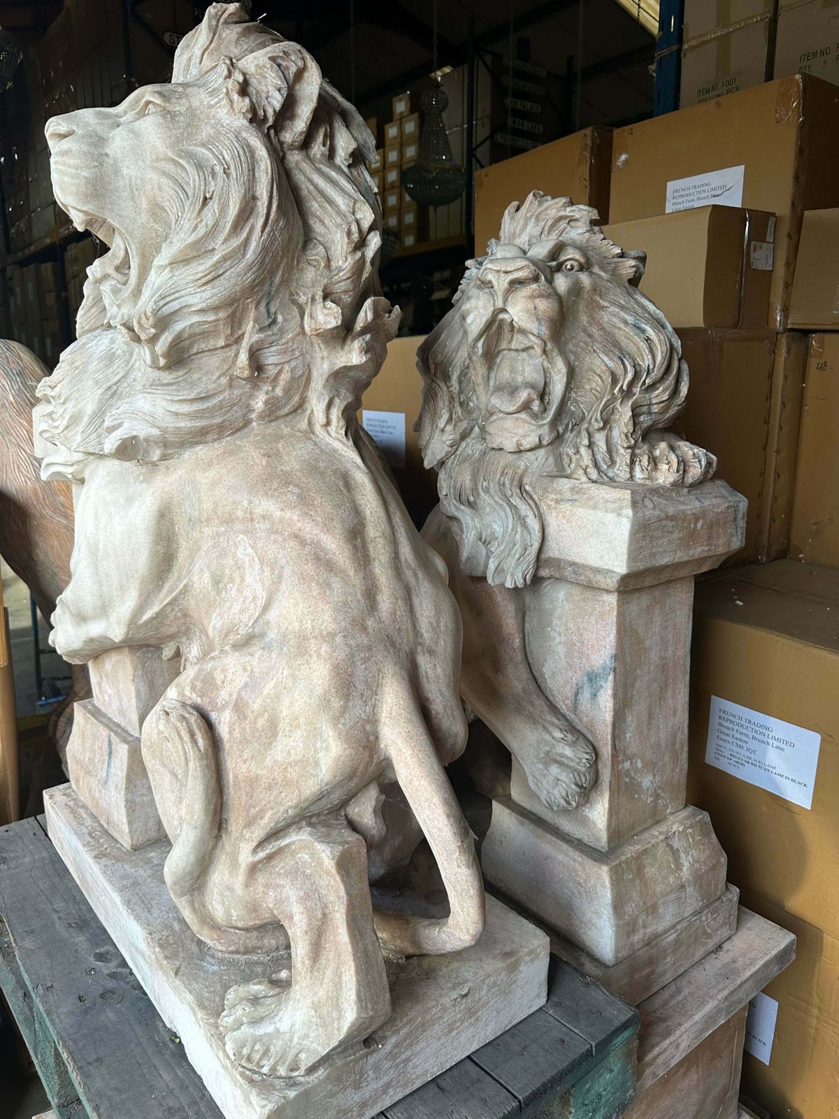 Pair Of, Italian Marble Lions Earley 1900’s, With Marble Plinths (Priced Individually) photo furniture
