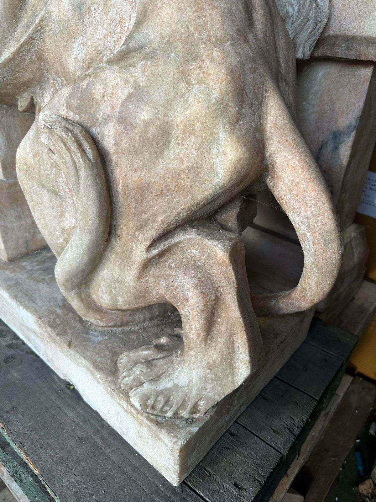 Pair Of, Italian Marble Lions Earley 1900’s, With Marble Plinths (Priced Individually) photo 6995.0