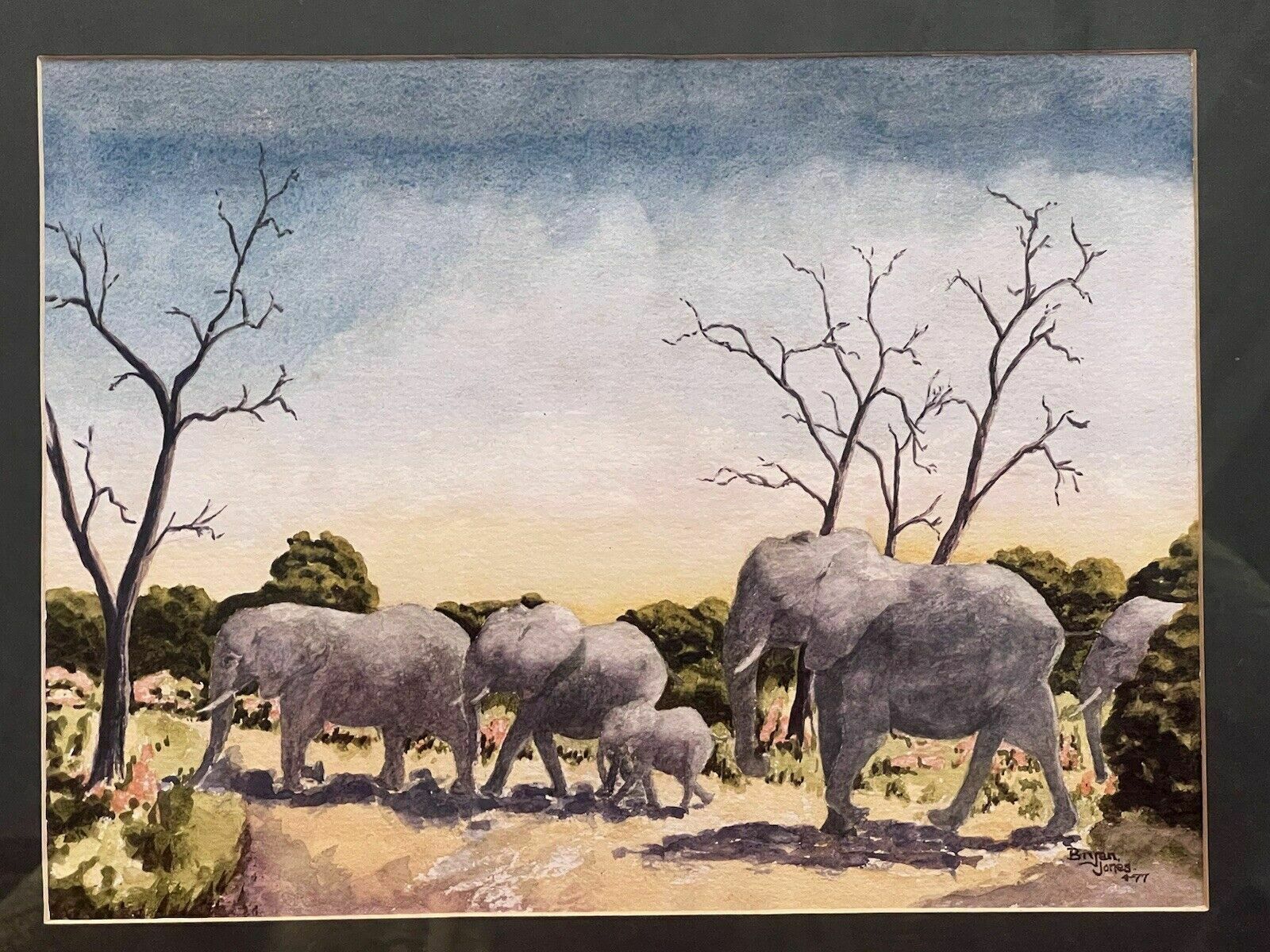Herd Of Elephants Watercolour By Renowned Artist Brian E Jones photo buy
