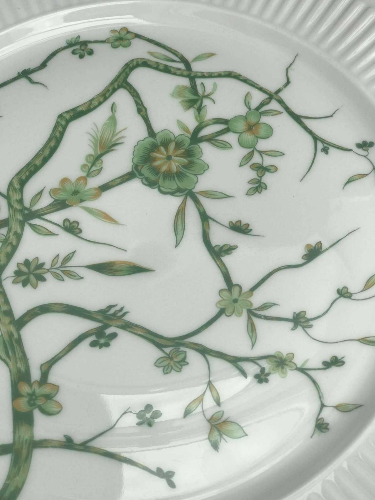 Porcelain Limoges Set 6 Raynaud & Co Fleur De Jade Green White Dinner Plates Green White Leaves French Vintage Wedding Luxury Gift photo furniture