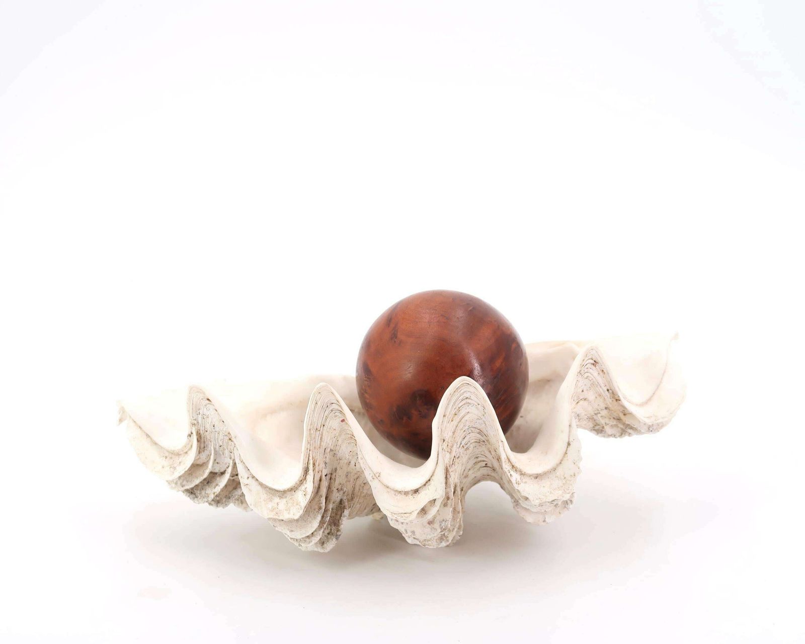Grote Schelp, Ringenschaaltje, Tridacna Schelp Ca. Jaren 1970 / Schaal, Zeepbakje, Curiositeitenkabinet, Sieraden, Conch, Boho Chic, Folk, Badkamer