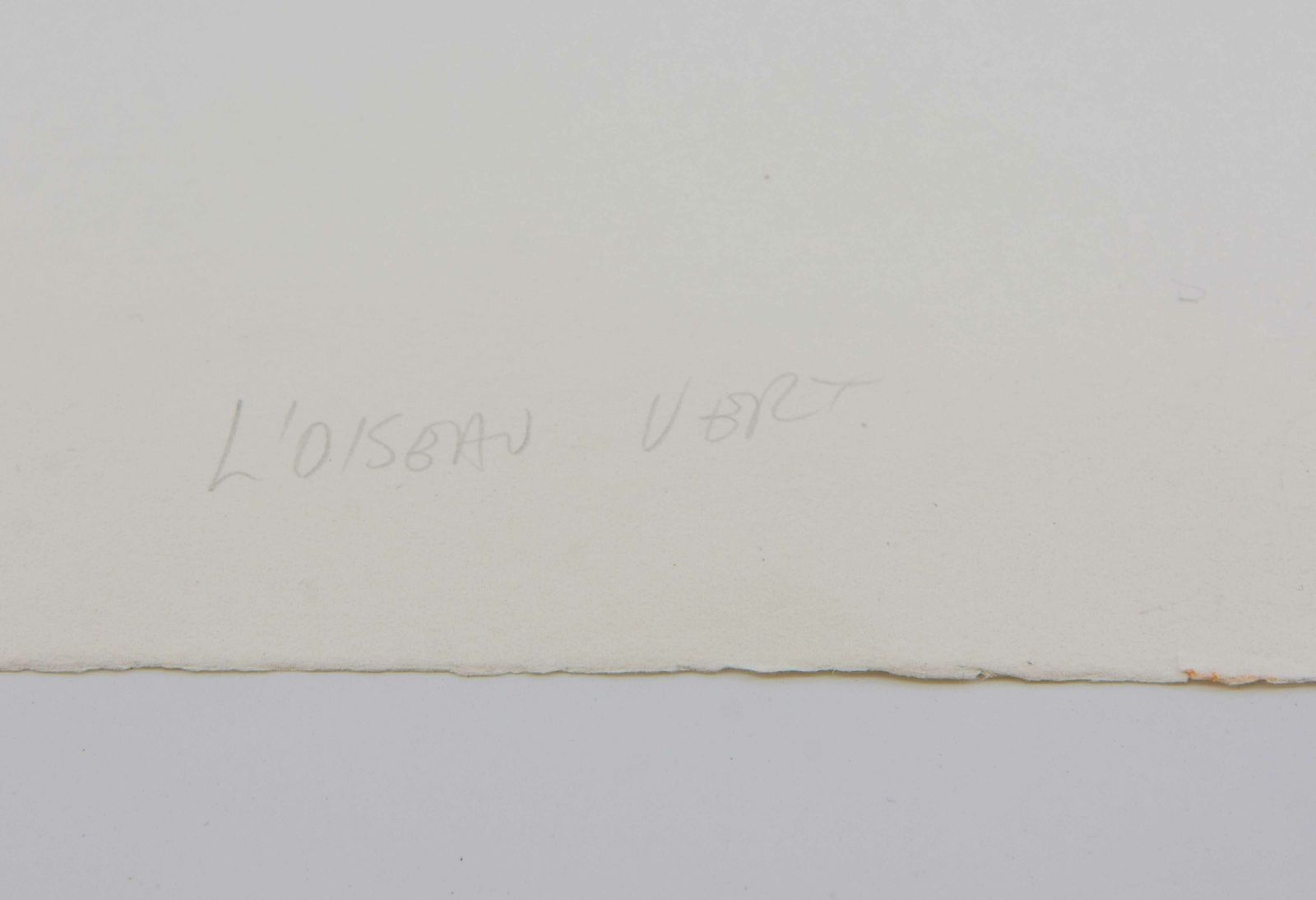 Keiko Minami Signed Etching With Aquatint On Bfk Rives Wove 'L’oisen Vert'. Circa 1977 photo vinterior