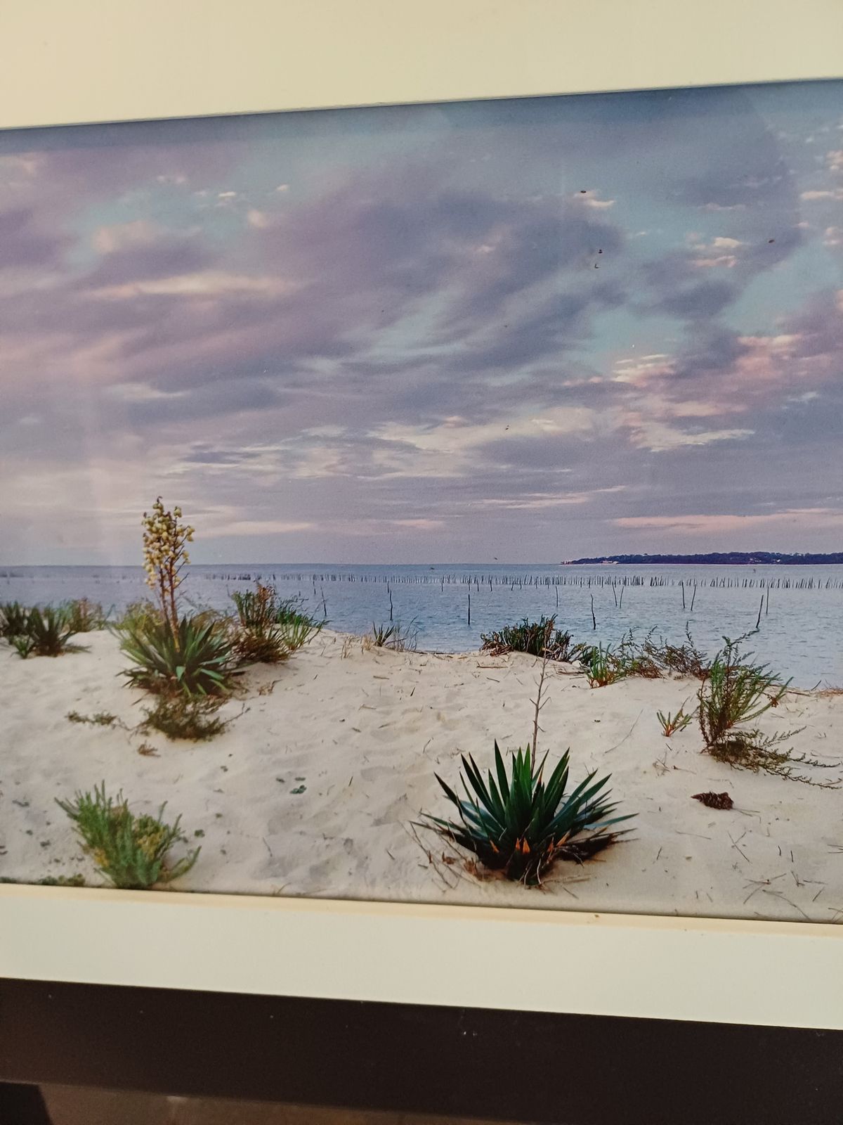 Framed Photo Of The Arcachon Basin By Jean Claude Monin photo buy