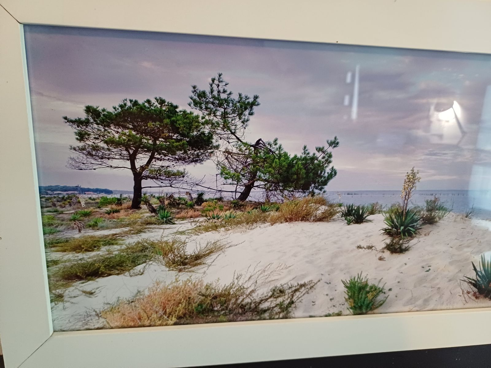 Framed Photo Of The Arcachon Basin By Jean Claude Monin photo vintage
