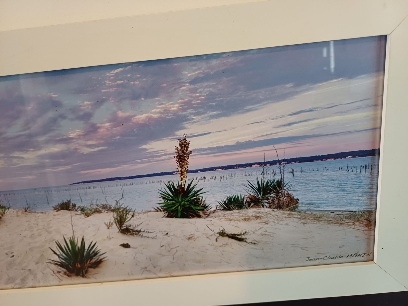 photo furniture Framed Photo Of The Arcachon Basin By Jean Claude Monin