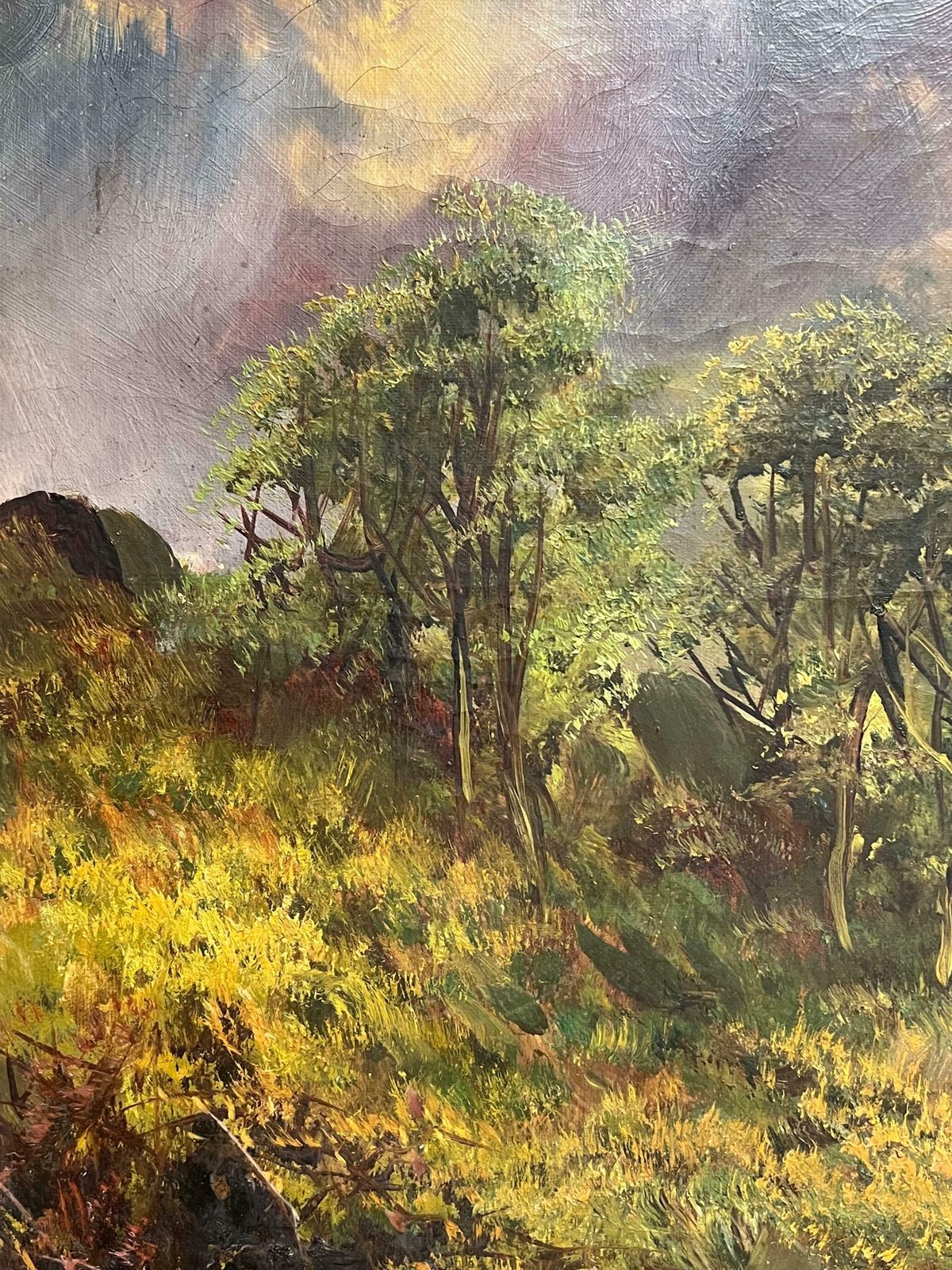 1700.0 F. E. Jamiesonantique Scottish Oil Highland Waterfall With Distant Mountains Oil Painting 1920's photo