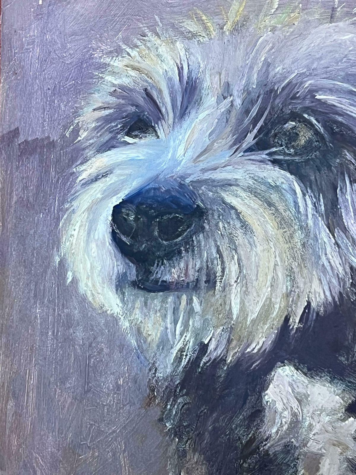 English Contemporaryportrait Of A Scruffy Terrier Dog Signed Oil Painting 20242024 photo for sale
