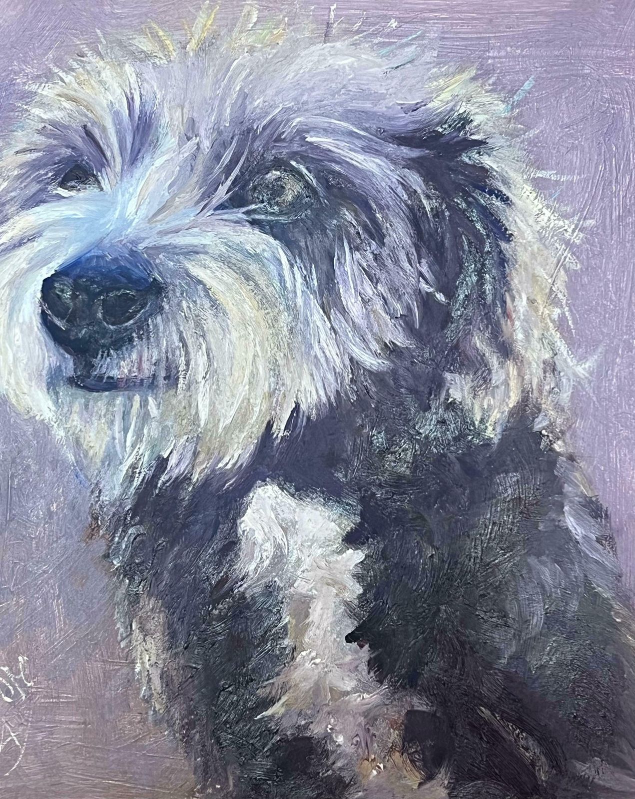 English Contemporaryportrait Of A Scruffy Terrier Dog Signed Oil Painting 20242024 photo Art