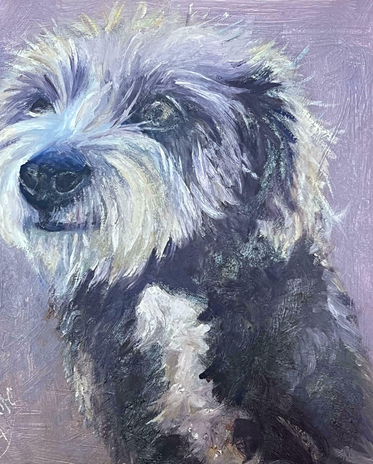 English Contemporaryportrait Of A Scruffy Terrier Dog Signed Oil Painting 20242024 photo 662.0