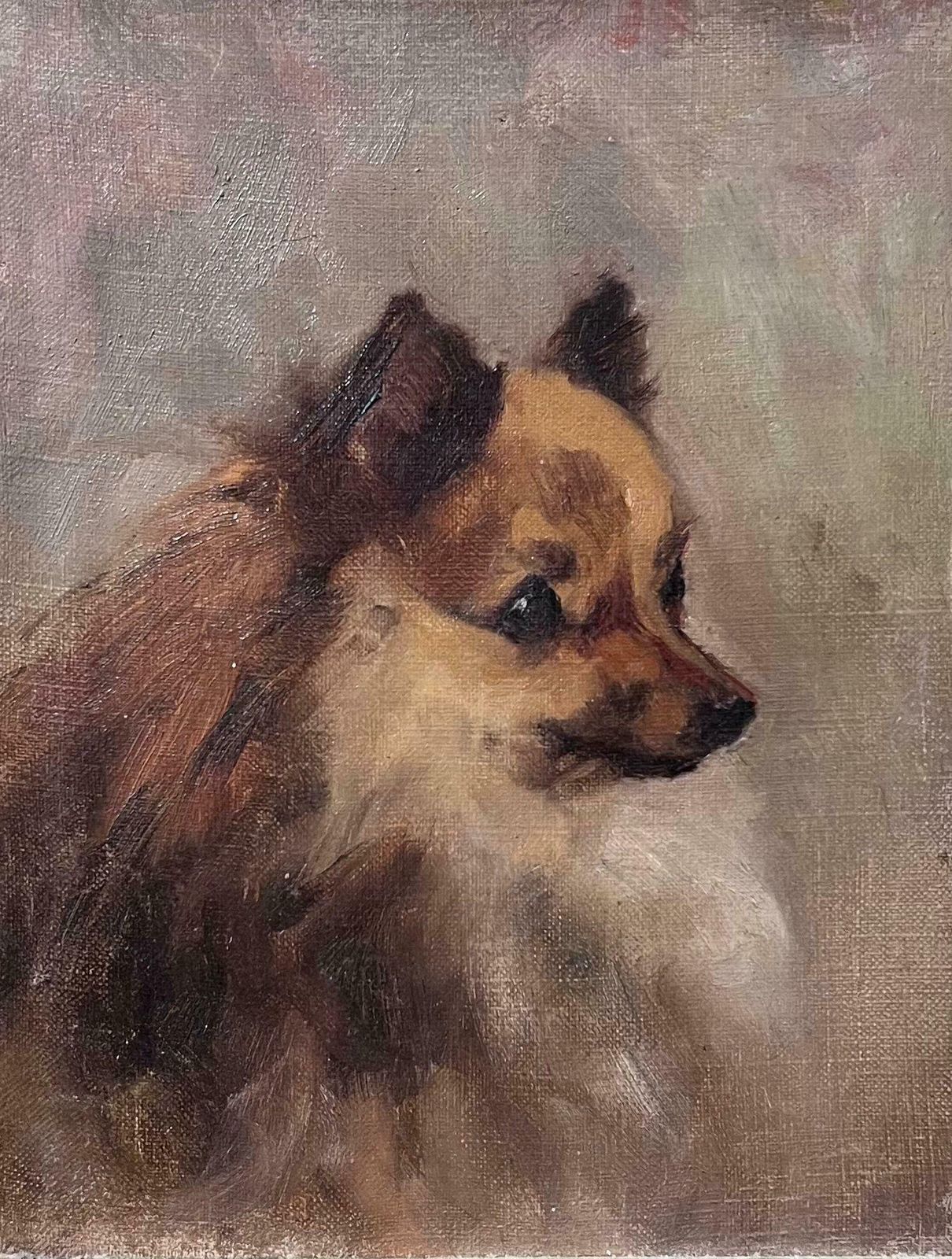 English Dog Artistantique English Oil Painting Portrait Of Pomeranian Dog 19th Century Framed19th Century photo furniture