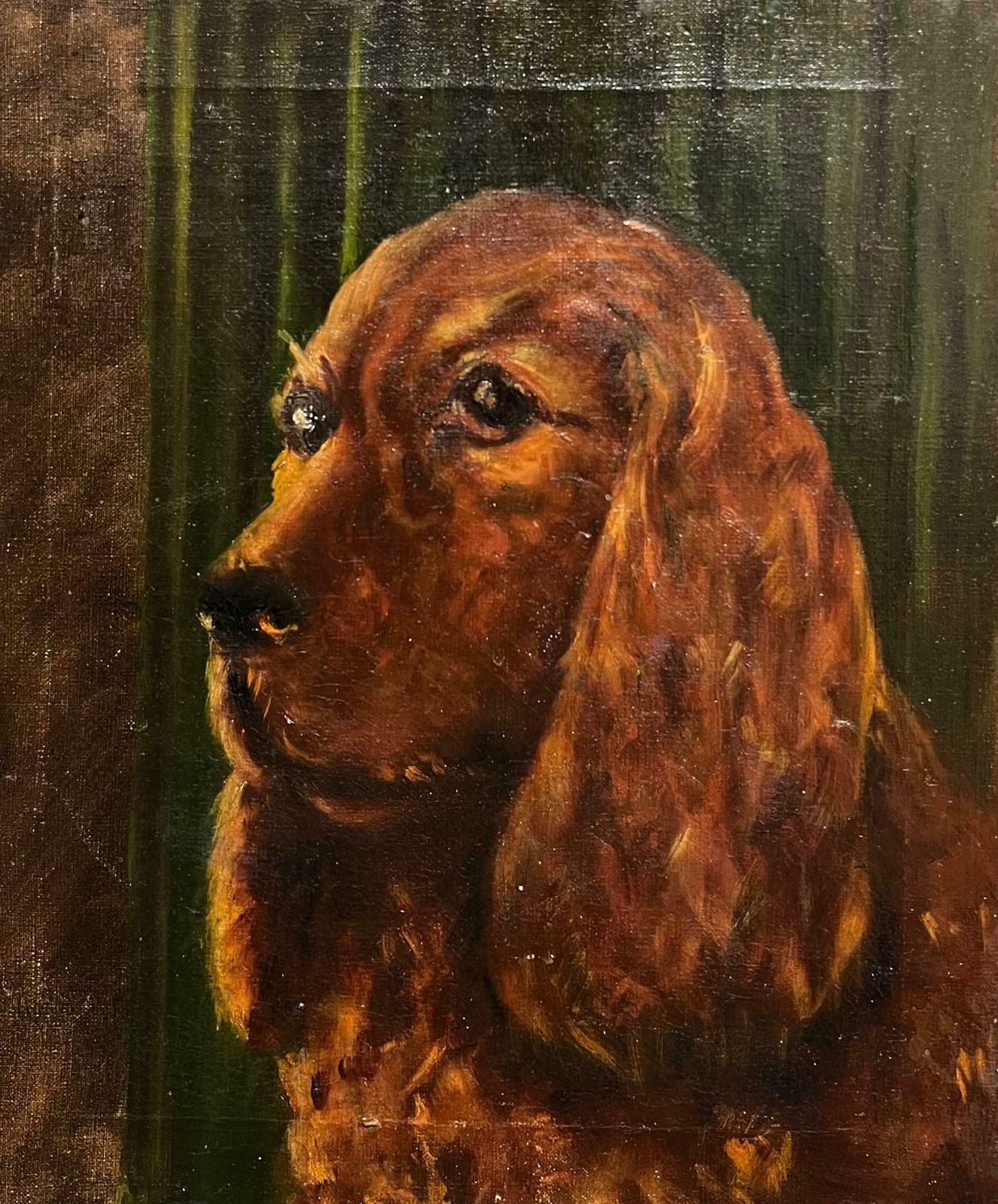 English School20th Century Portrait Of A Red Setter/ Spaniel Dog Oil Painting20th Century
