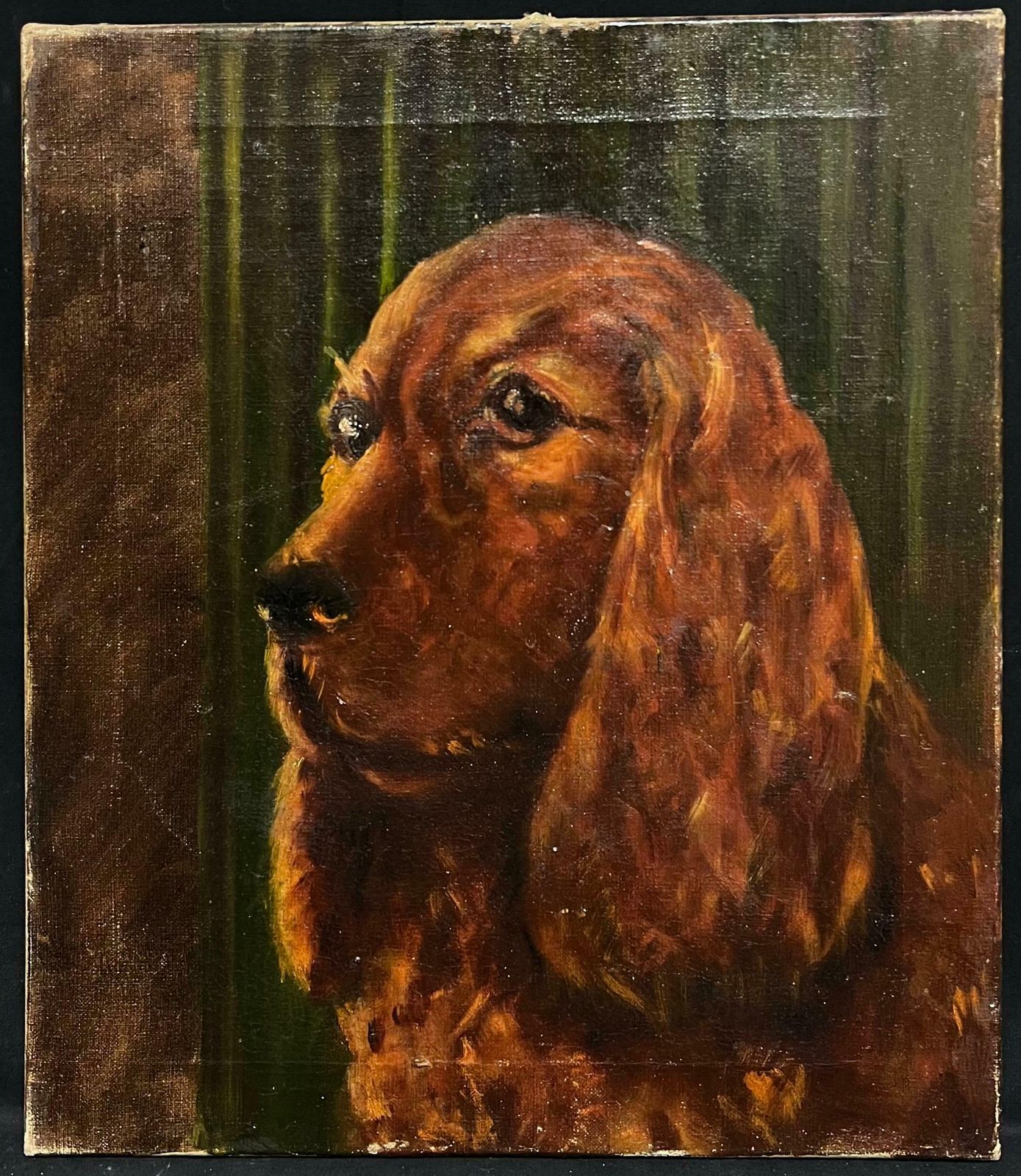 English School20th Century Portrait Of A Red Setter/ Spaniel Dog Oil Painting20th Century photo furniture