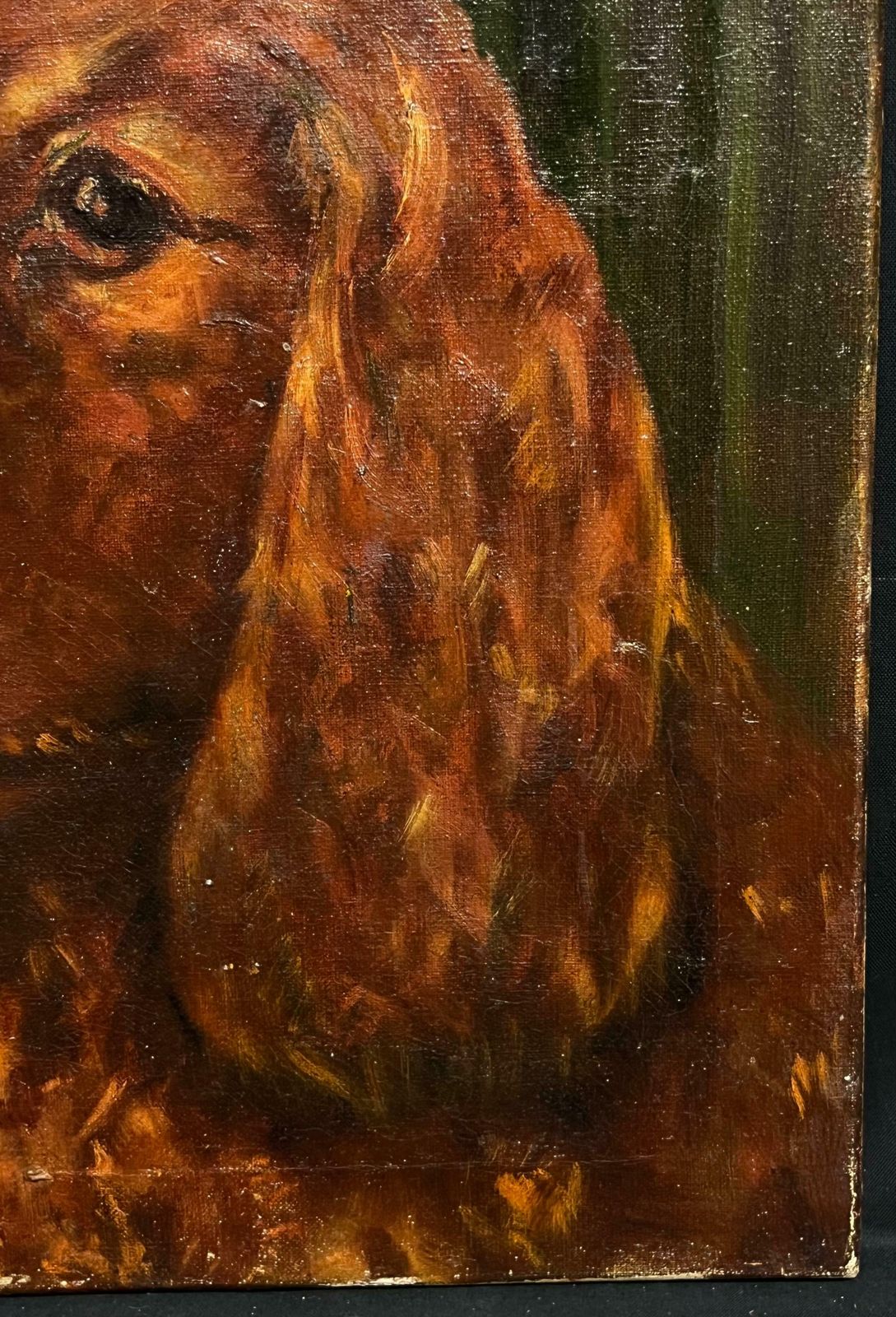 English School20th Century Portrait Of A Red Setter/ Spaniel Dog Oil Painting20th Century photo 300.0