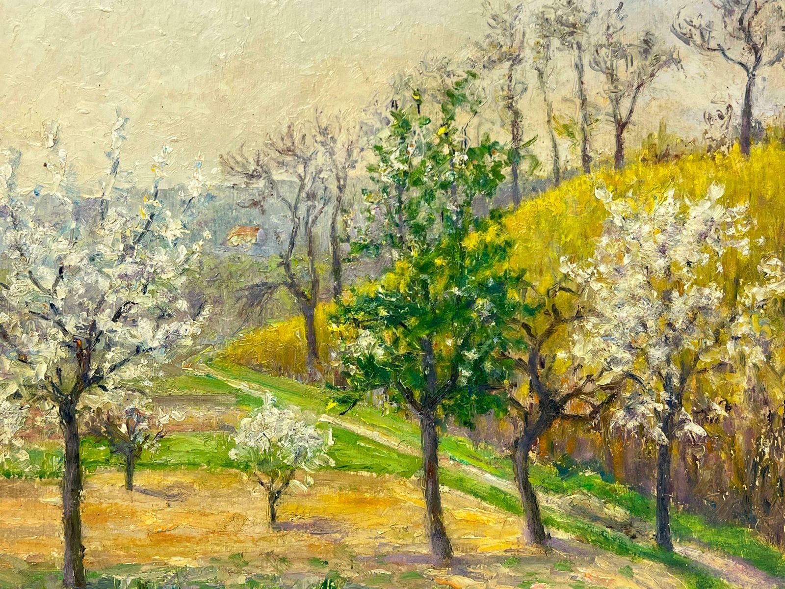 Regine Davidblossoming Trees In A Spring Orchard, A Pastoral Landscape In Full Bloom1950's