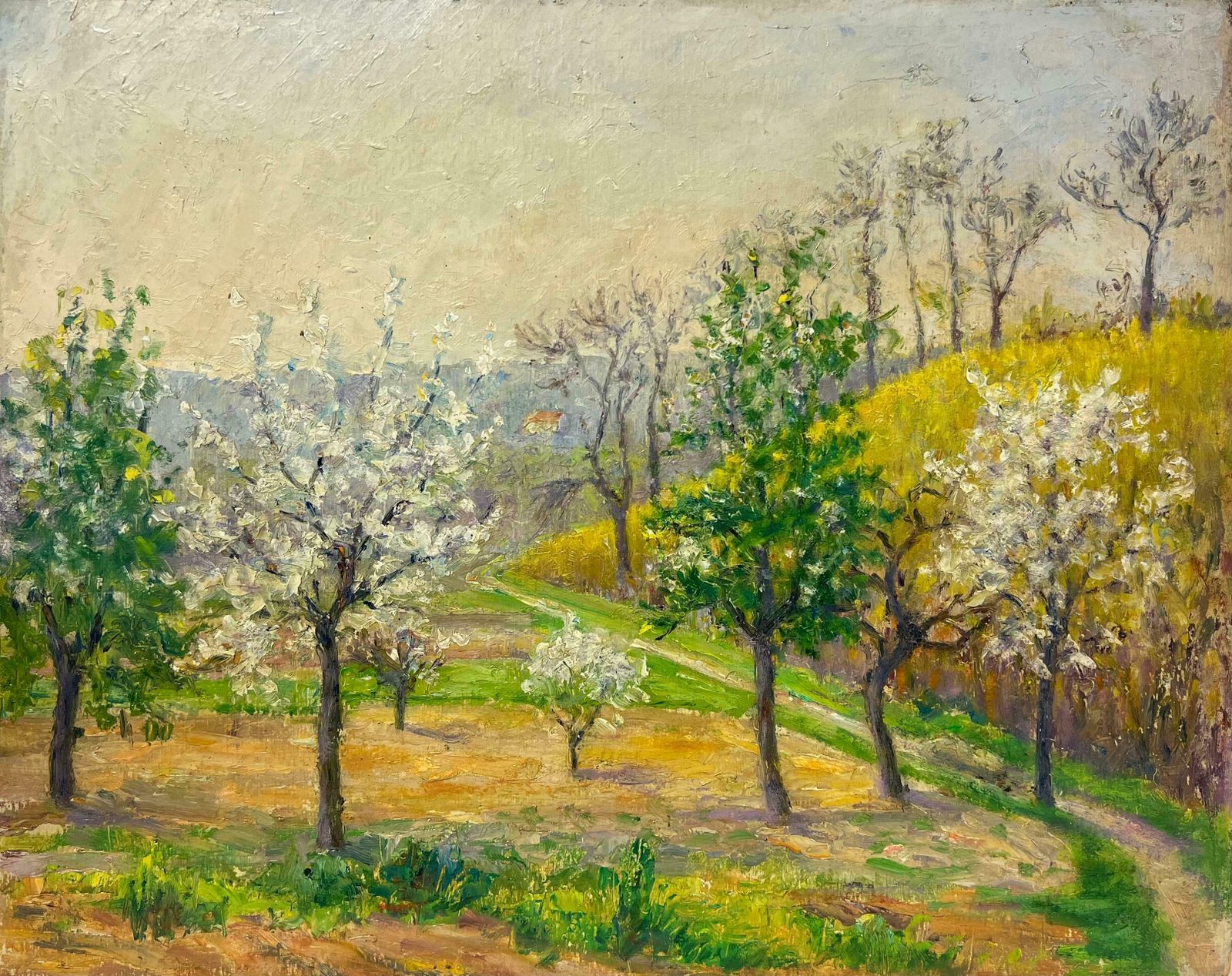 Regine Davidblossoming Trees In A Spring Orchard, A Pastoral Landscape In Full Bloom1950's photo for sale