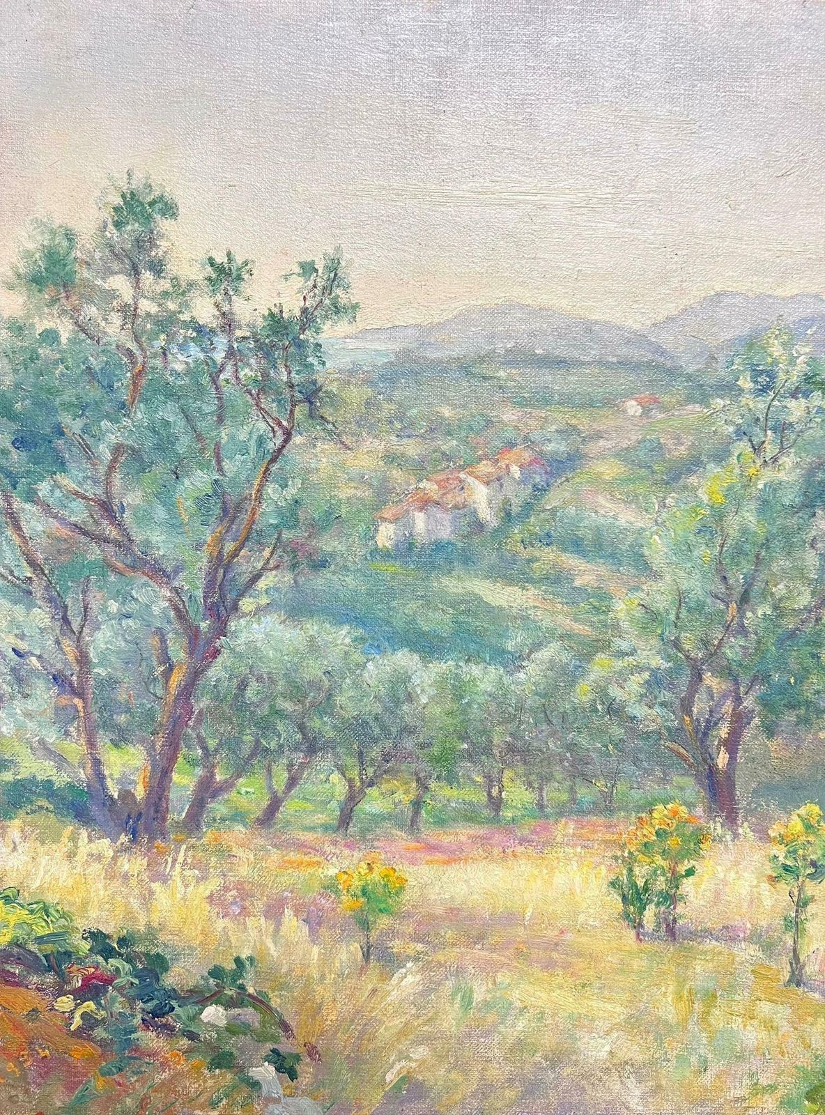 Regine Davidfrench Olive Grove In A Sunlit Valley Serene Oil Painting1950's