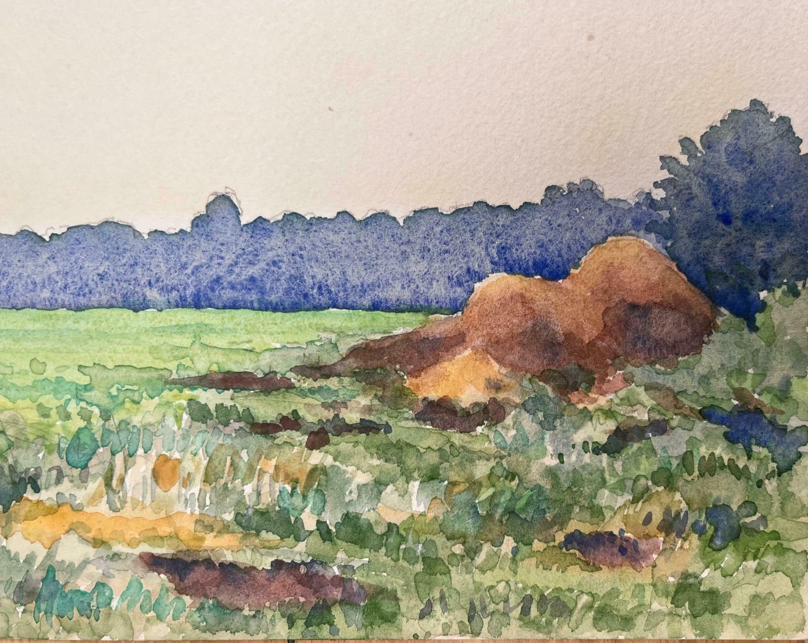 Ian G. Walker Finely Detailed British Watercolor Topographical The Top Of Dunsmore Lane1974 photo for sale