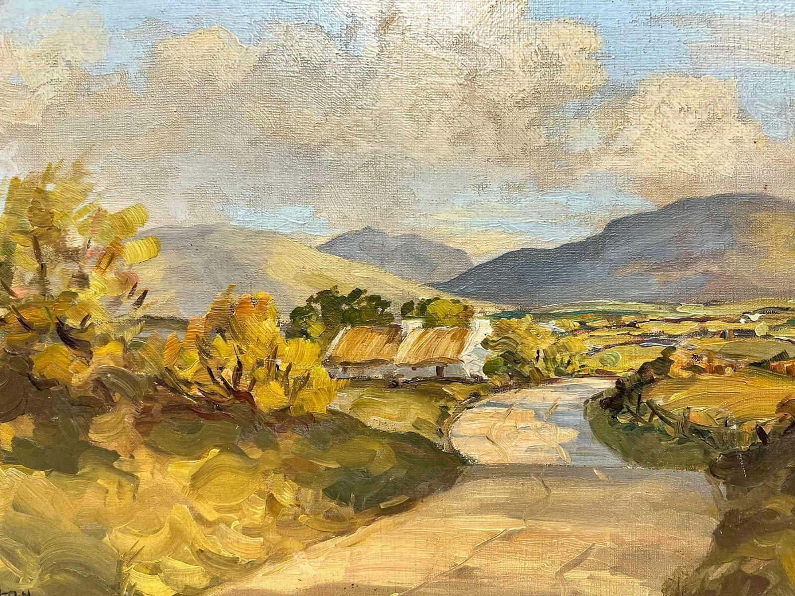 Irish Artistthe Mourne Mountains County Down Ireland Signed Original Irish Oil Painting photo Art