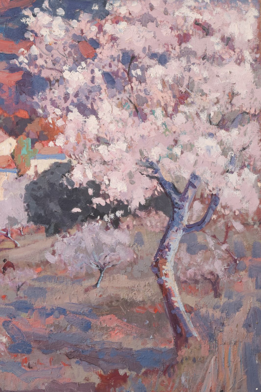 Josep Mas Pou   Almond Blossom   Ingelijst photo vinterior