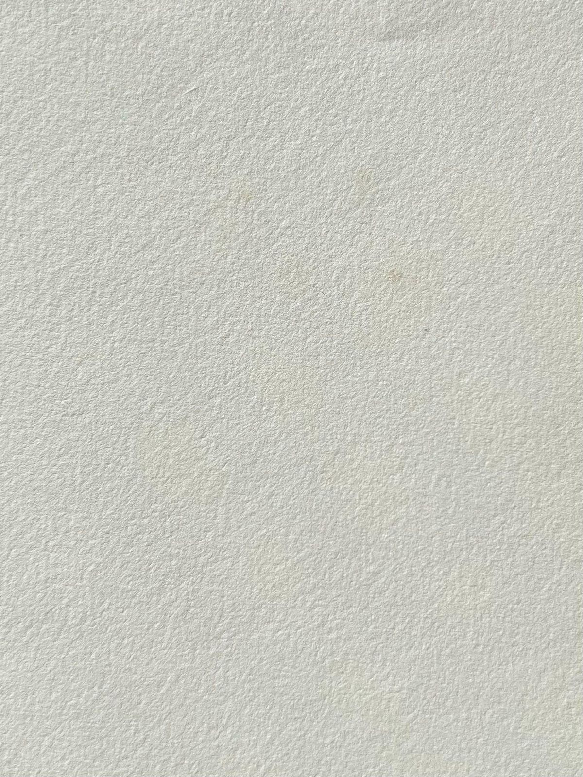 Caroline Worsleyfine Antique British Botanical Painting White Centaurium Flowerc.1900's photo for sale