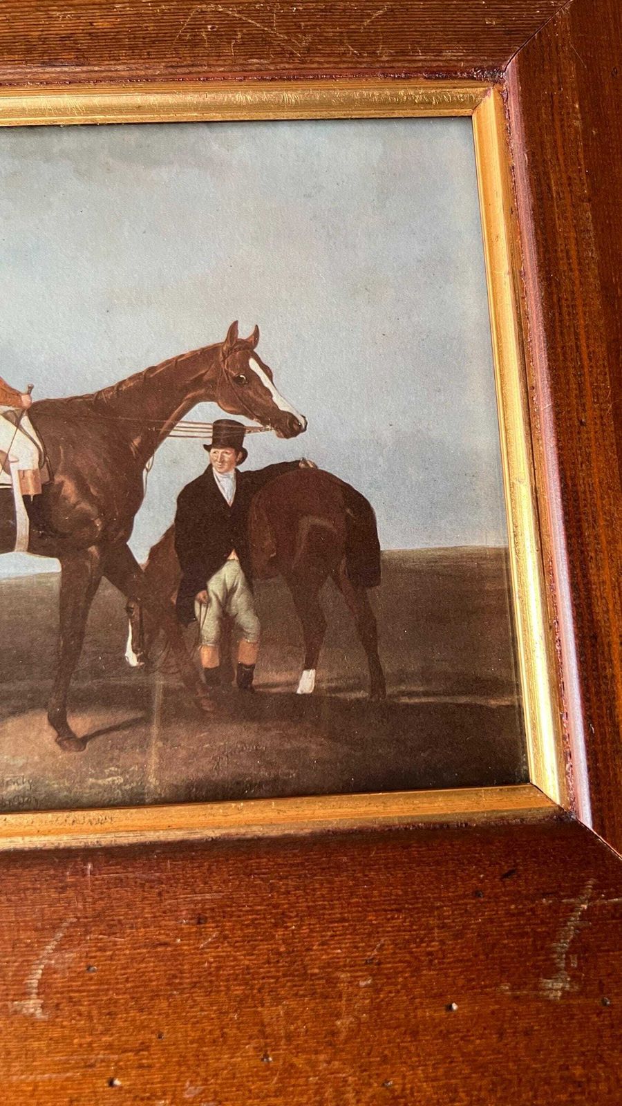 Elis   Equestrian 1900’s Picture After 1833 Painting Chestnut Horse By Abraham Cooper photo 59.0