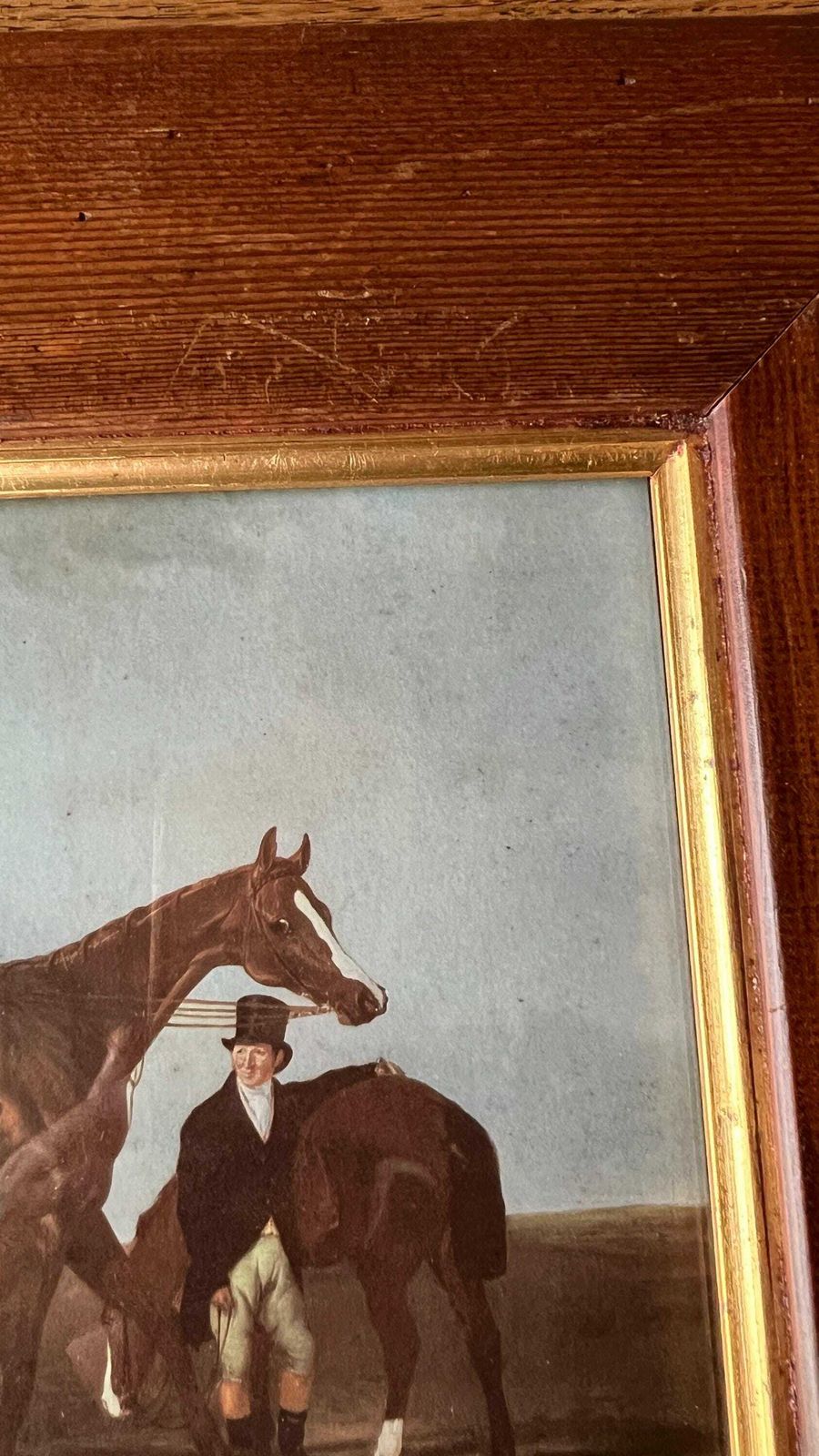 Elis   Equestrian 1900’s Picture After 1833 Painting Chestnut Horse By Abraham Cooper photo vinterior