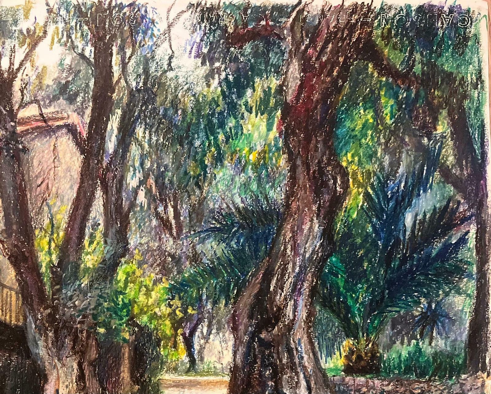 Josine Vignon, dessin au pastel mid-century, maison rustique et jardin, France, années 1950 photo Art