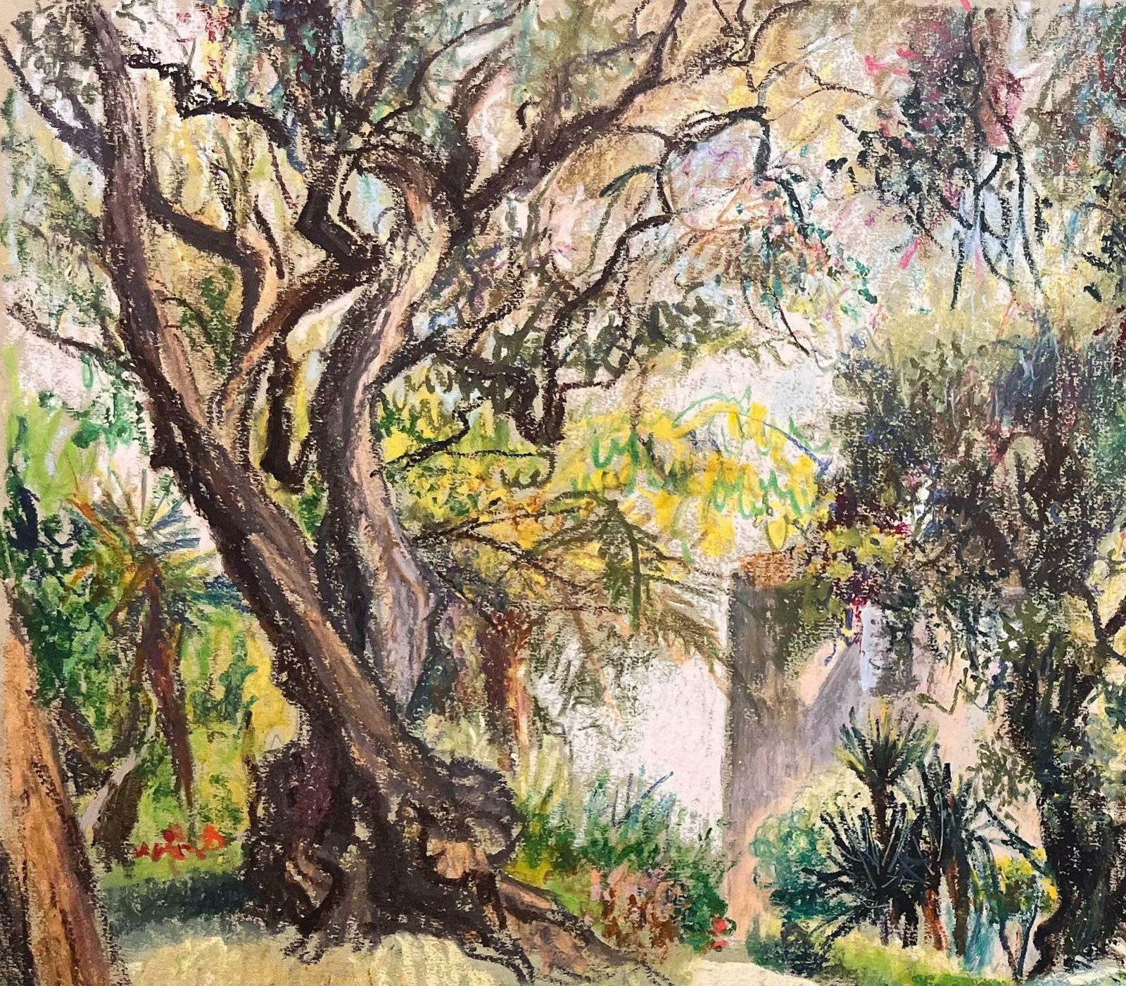 Josine Vignonmid Century French Pastel Drawing Of Garden With Olive Trees And Cottage1950's photo for sale