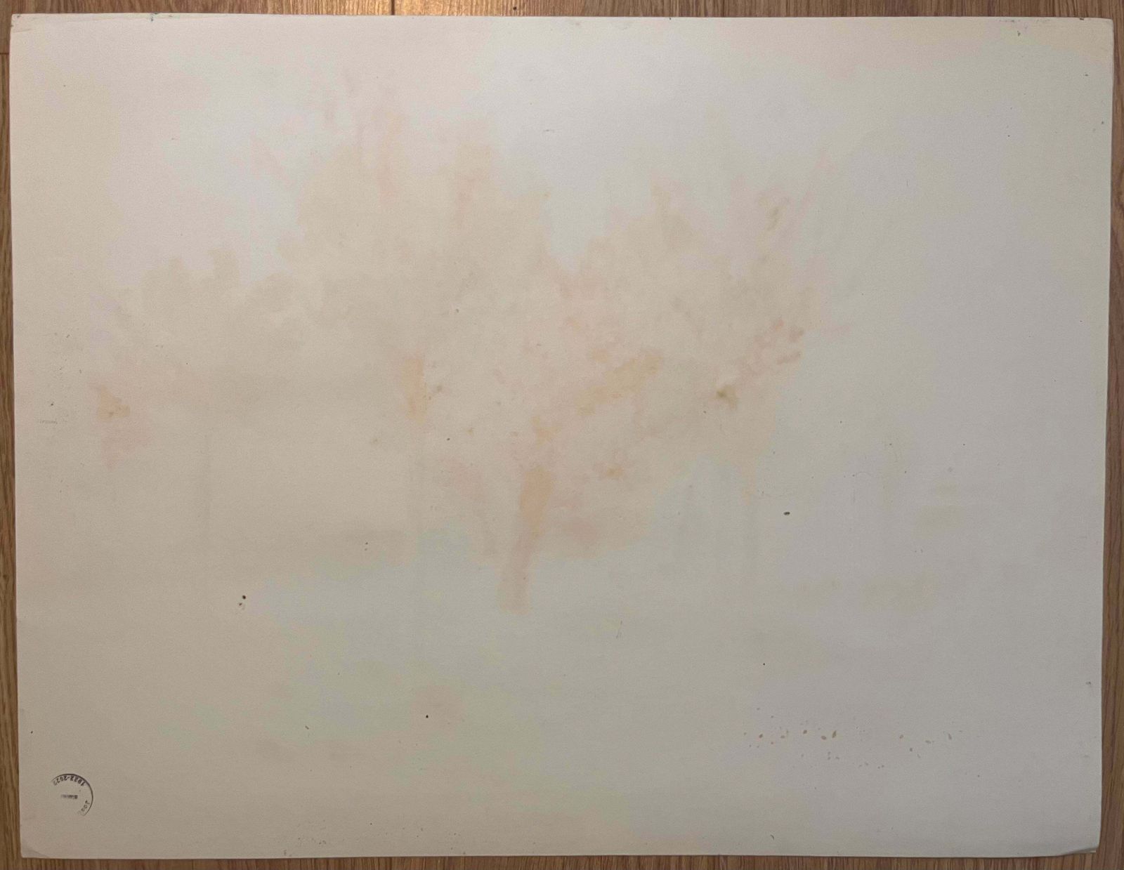 Josine Vignonmid Century French Original Pastel Drawing Sunlit Landscape With Iron Gate1950's photo vintage