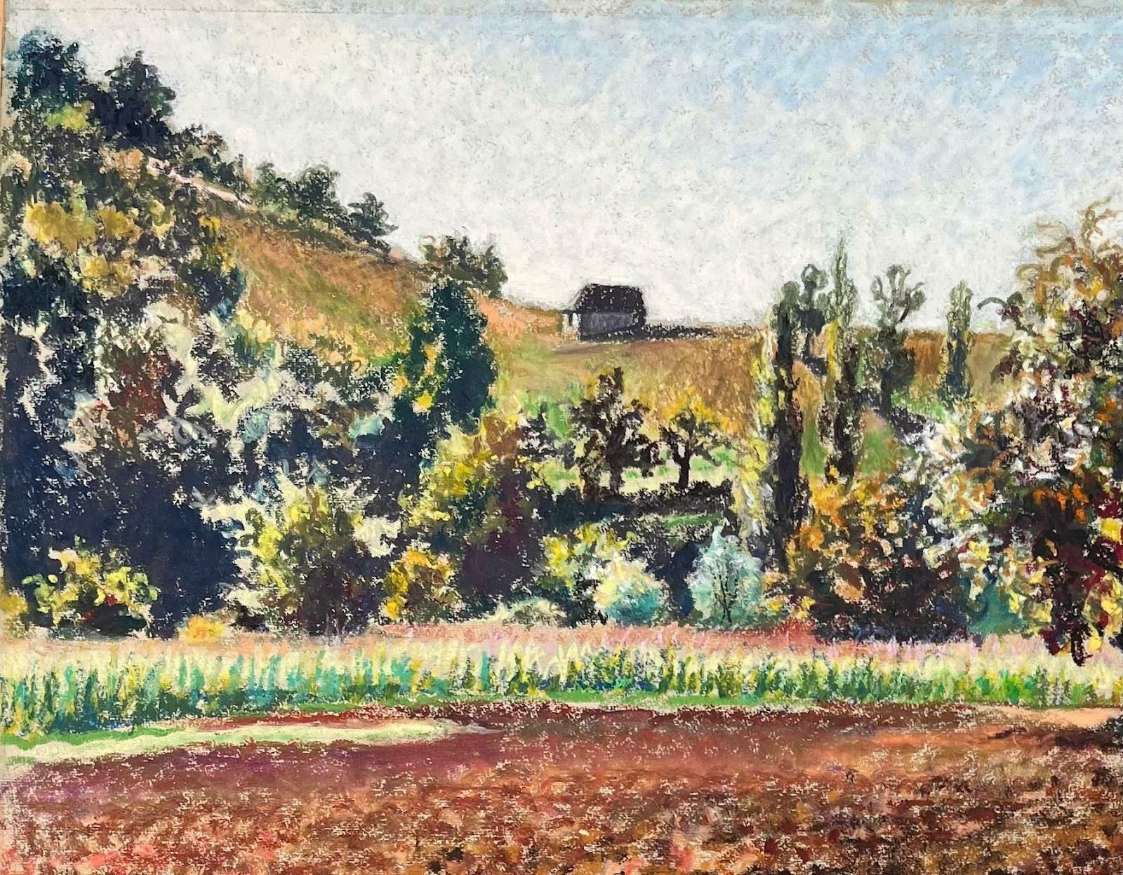 Josine Vignonmid Century French Original Pastel Painting Of A Plowed Field And Orchard1950's photo for sale