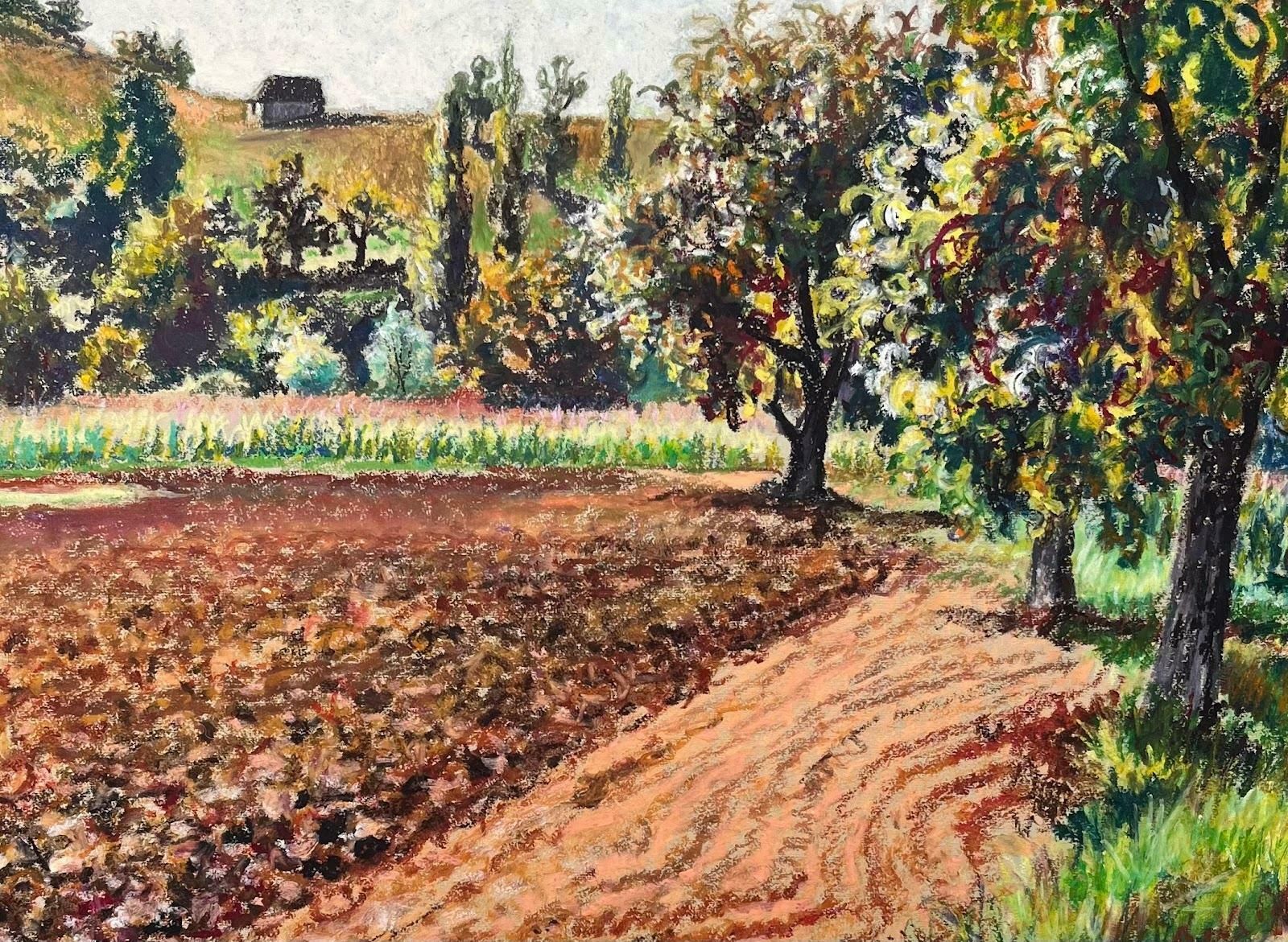 Josine Vignonmid Century French Original Pastel Painting Of A Plowed Field And Orchard1950's photo 875.0