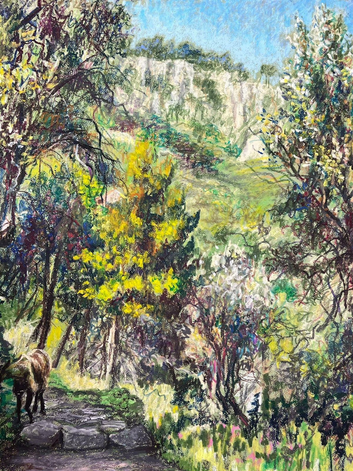 Josine Vignonmountain Goat Walking Up The Steps Below Menton, France Landscape1977 photo 875.0