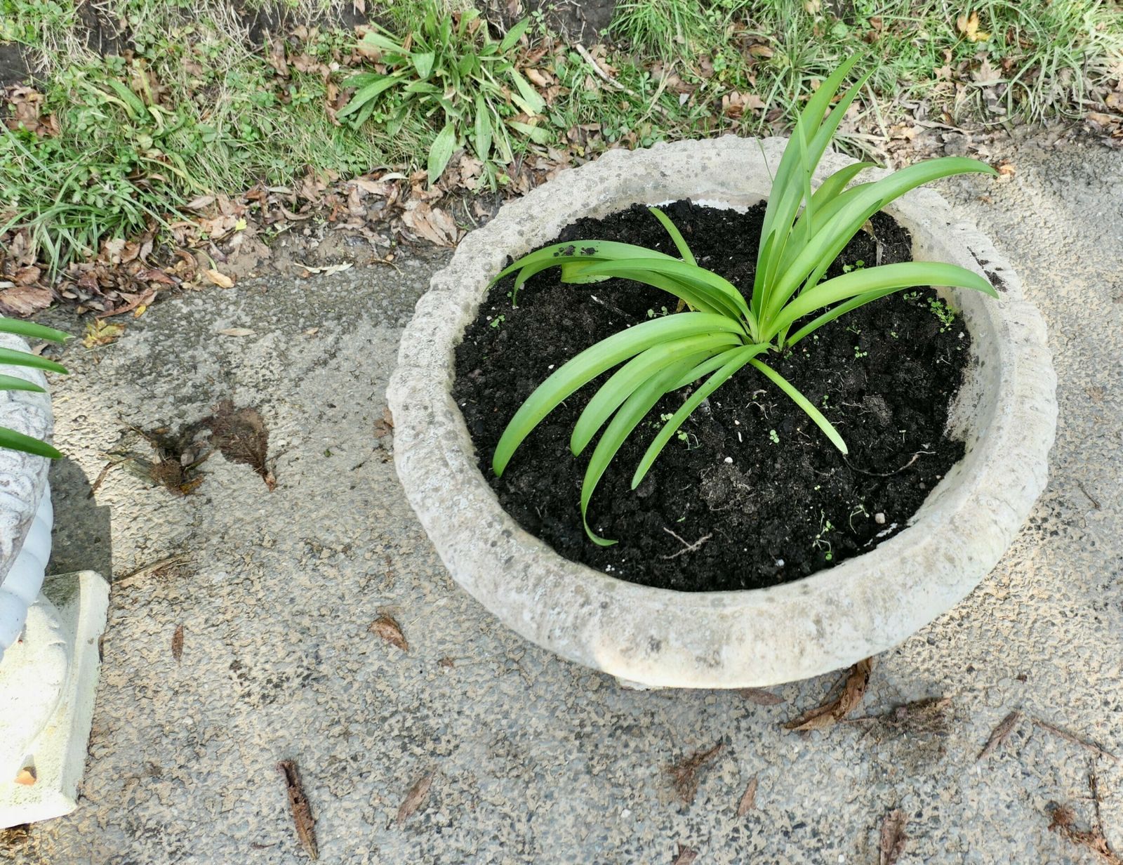 A Pair Of Large Weathered Cast Stone Garden Planters photo 1050.0
