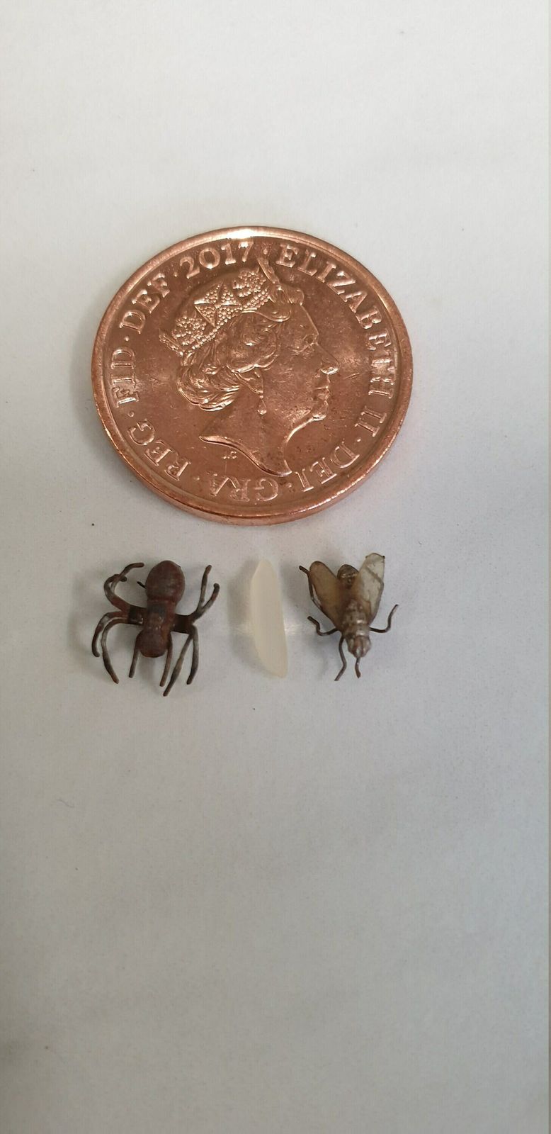 Antique Victorian Curio Miniature Metal Insect Spider And Fly