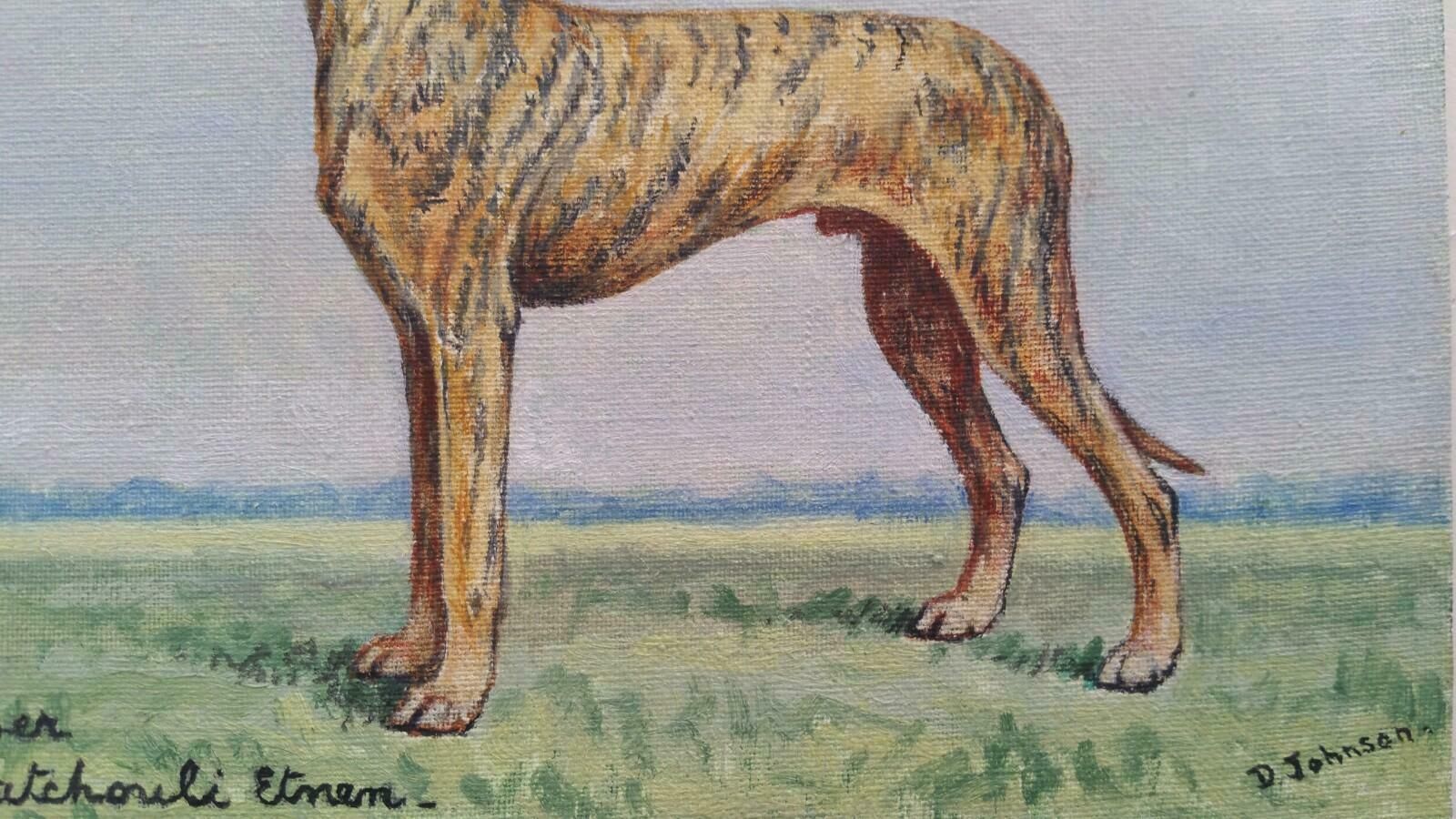 Dorothy Alexandra Johnsonenglish School 20th Century Oil Painting Of A Champion Sloughi Dog1970's photo buy