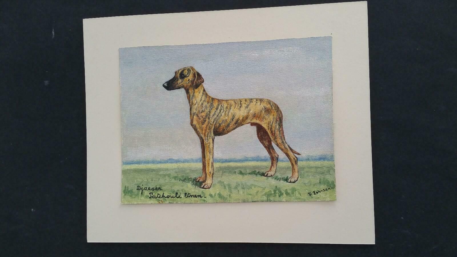 Dorothy Alexandra Johnsonenglish School 20th Century Oil Painting Of A Champion Sloughi Dog1970's photo vintage