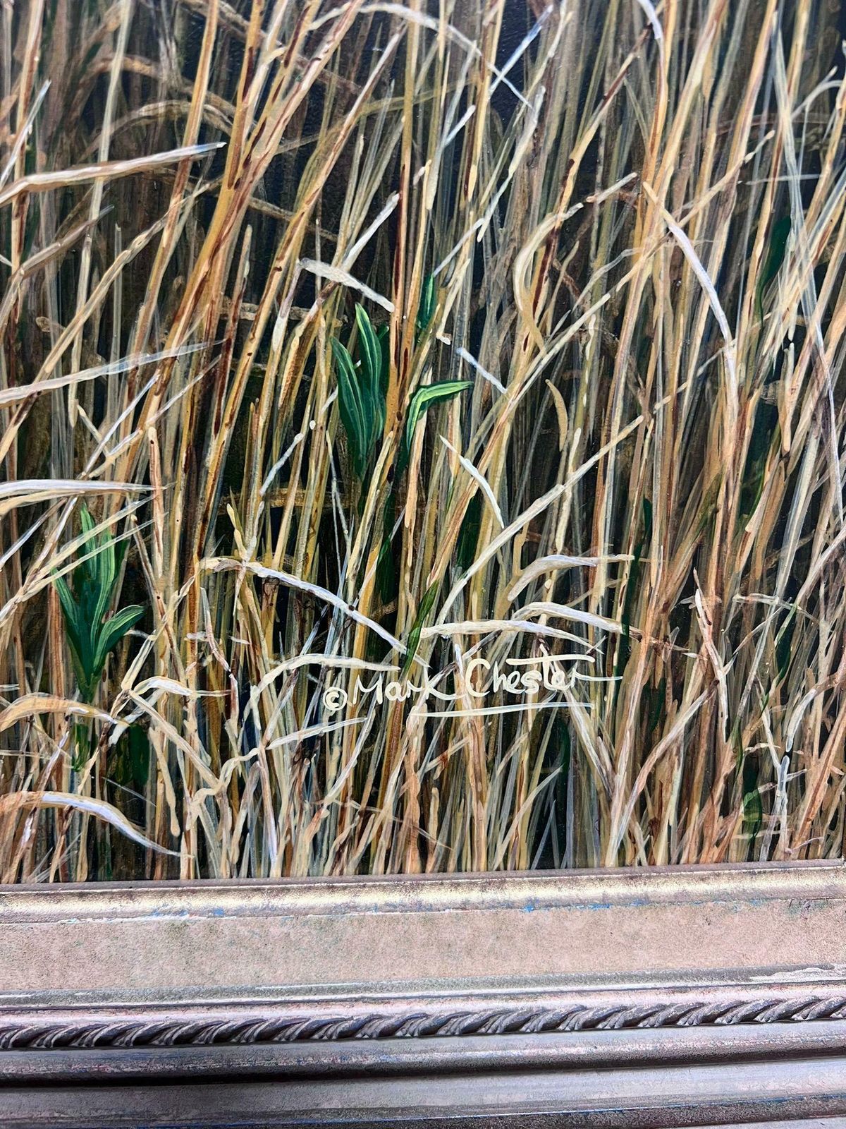 photo furniture British School Majestic Tiger Tall Grass Realistic Wildlife British Oil Painting Ornate Frame