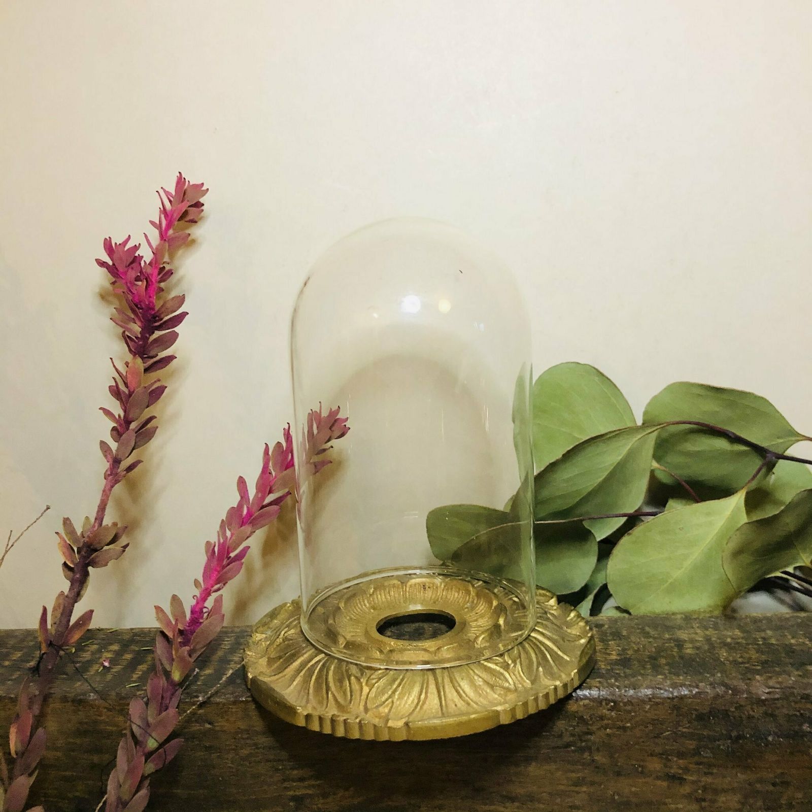 Art Nouveau Decorative Brass Door Bell Plate photo for sale