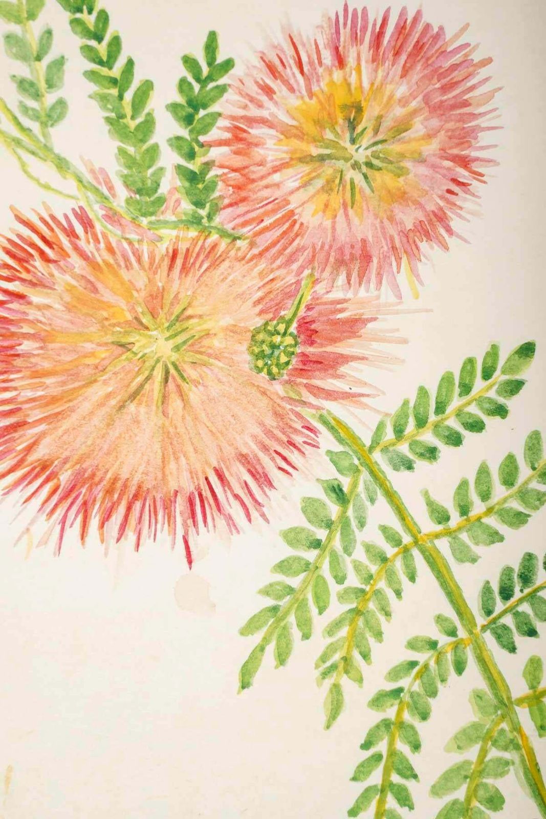 Small  American Watercolour Of Fowers, 20th Century. photo furniture
