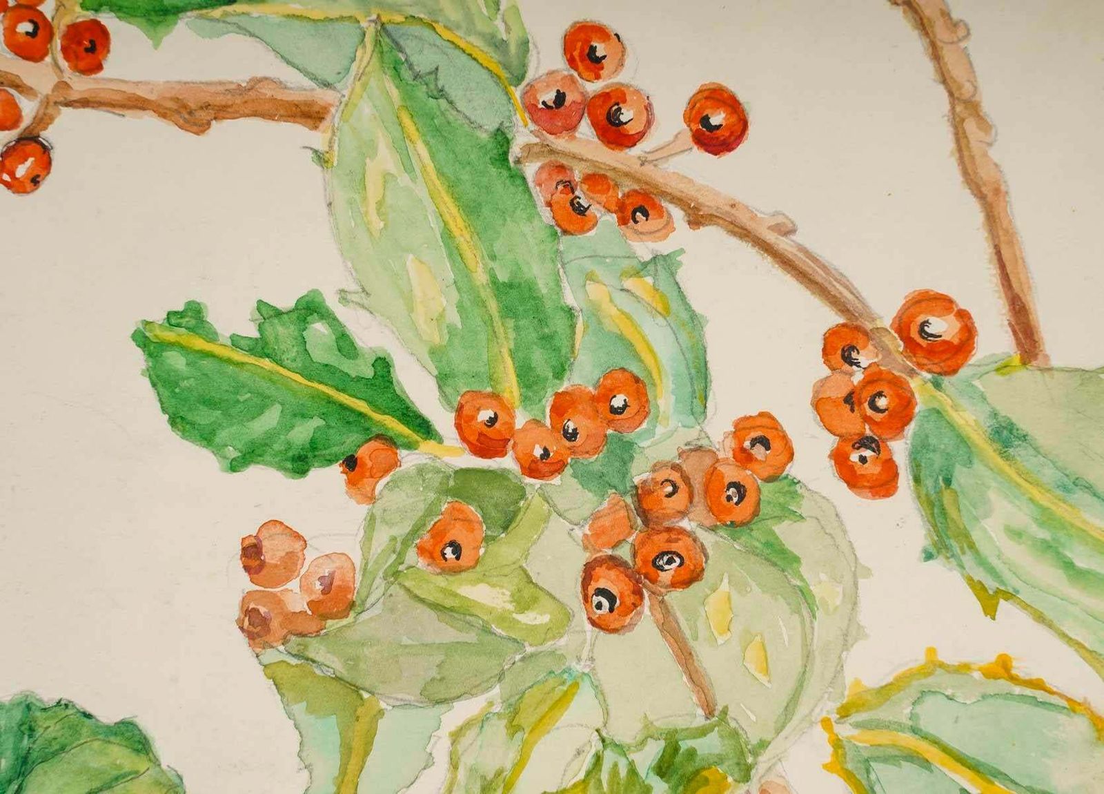 Double Sided Watercolour Drawing Of Plants, 20th Century. photo vinterior