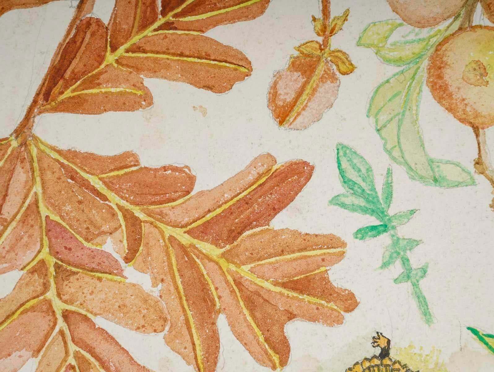 Double Sided Watercolour Of Plants, 20th Century, Afton, 1962. photo furniture