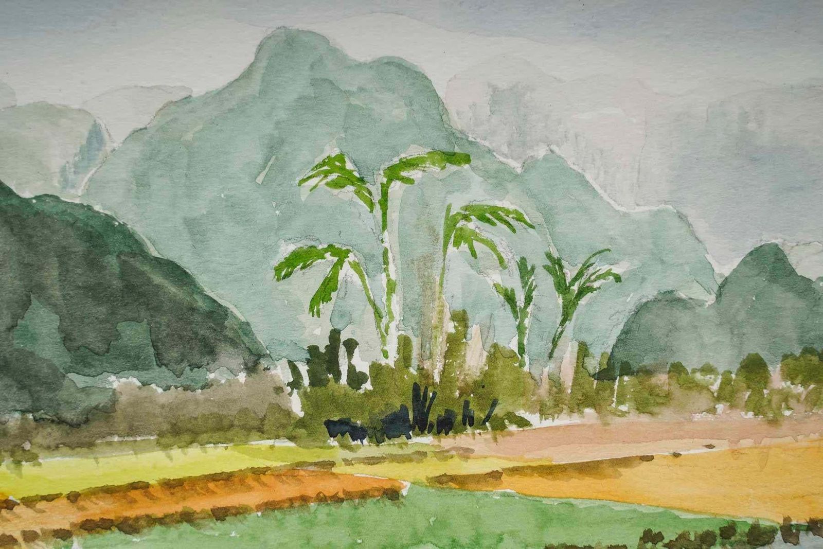 Watercolour Of A Rice Plantation In An Asian Landscape, 20th Century. photo for sale