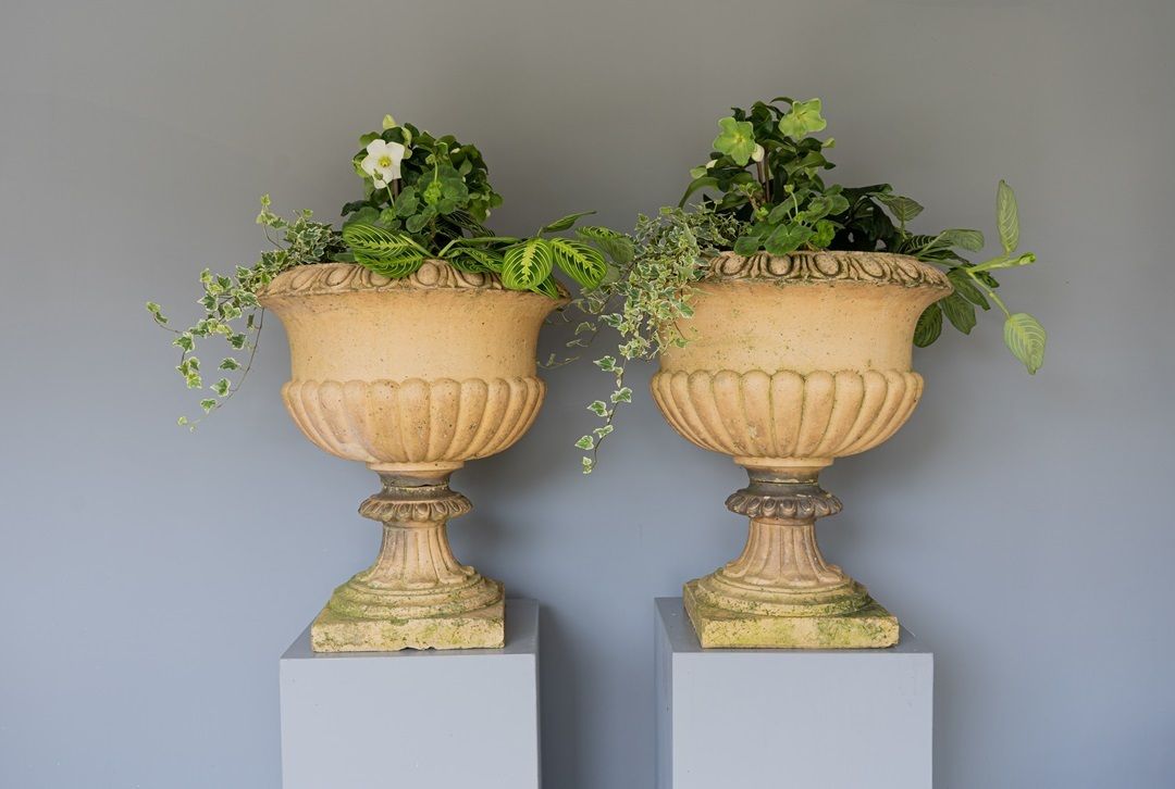 Pair Of Buff Terracotta Garden Urns photo vinterior