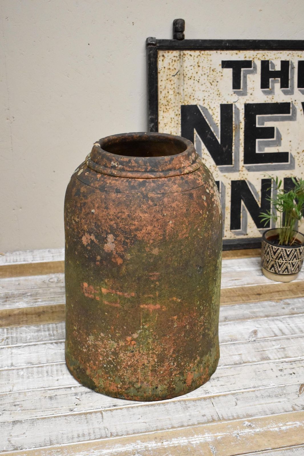 Large Weathered Terracotta Rhubarb / Kale Forcer Pot