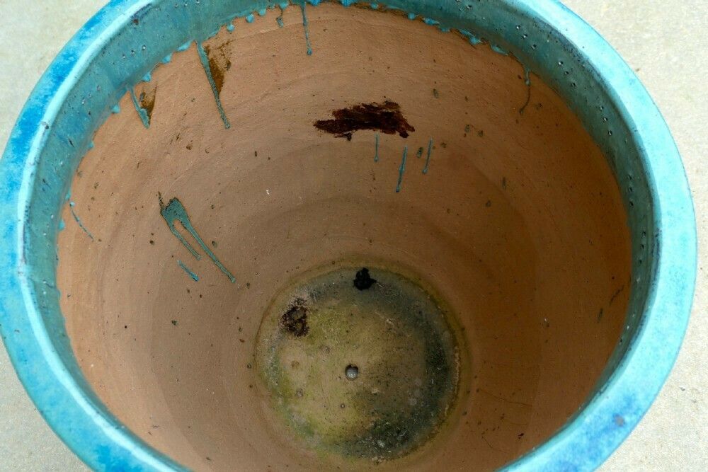 Large French Terracotta Turquoise Blue Garden Tree Planter photo Home Decor