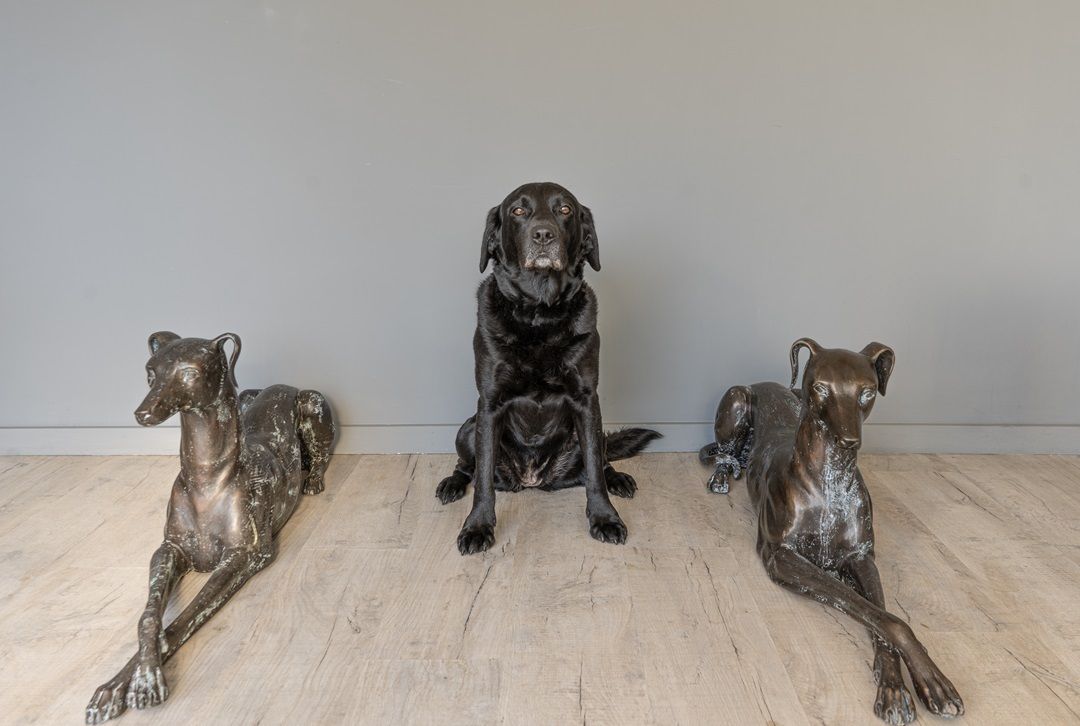 Pair Of Bronze Whippet Garden Statues photo furniture