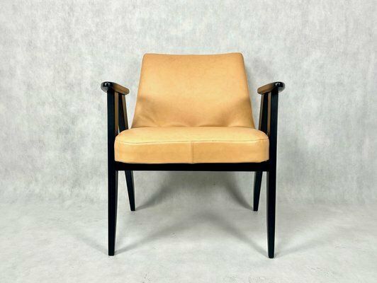 Mid Century Polish 366 Armchair By Jozef Chierowski, 1960s photo for sale